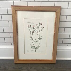Signed & Numbered Lyndi Lende Botanical Print “Scarlet Lamp– Framed Wall Art